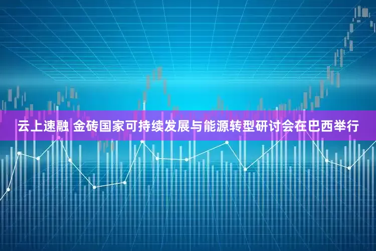云上速融 金砖国家可持续发展与能源转型研讨会在巴西举行