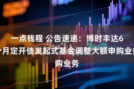 一点钱程 公告速递：博时丰达6个月定开债发起式基金调整大额申购业务